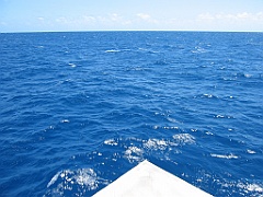 048 Great Barrier Reef